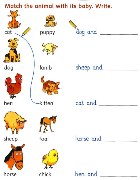 for    kindergarten Pre COLLEGE OXBRIDGE for worksheet names animal Starters  Worksheets